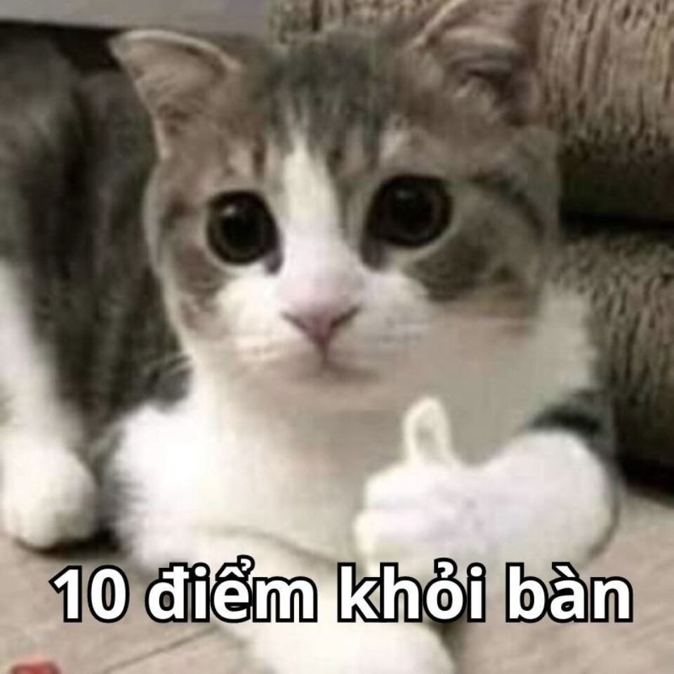 Ảnh meme hài hước hấp dẫn