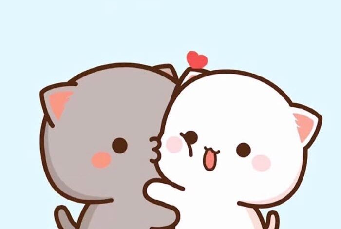 AVT cặp đôi ảnh mèo cute dành cho cặp đôi