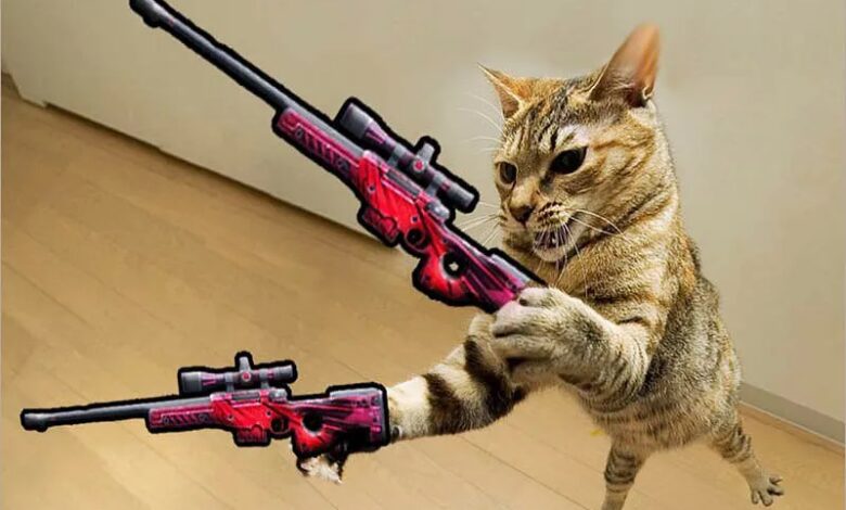 Ảnh mèo FF con gái, thể hiện thần thái chiến đấu trong game Free Fire