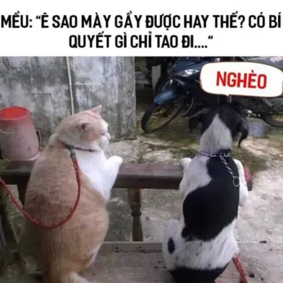 Meme happy với khuôn mặt yêu đời