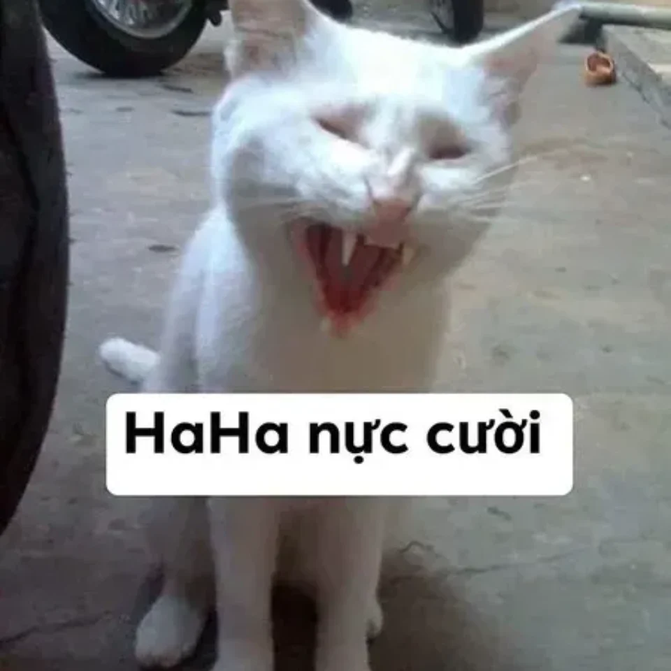 Meme happy vui vẻ khi đi chơi