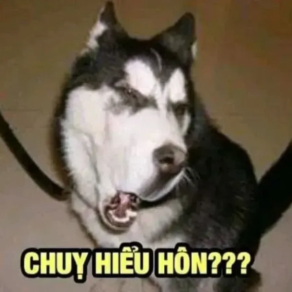 Meme happy khi được ăn món yêu thích