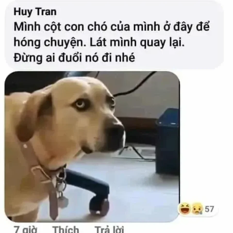 Meme happy vui vẻ, đầy năng lượng tích cực