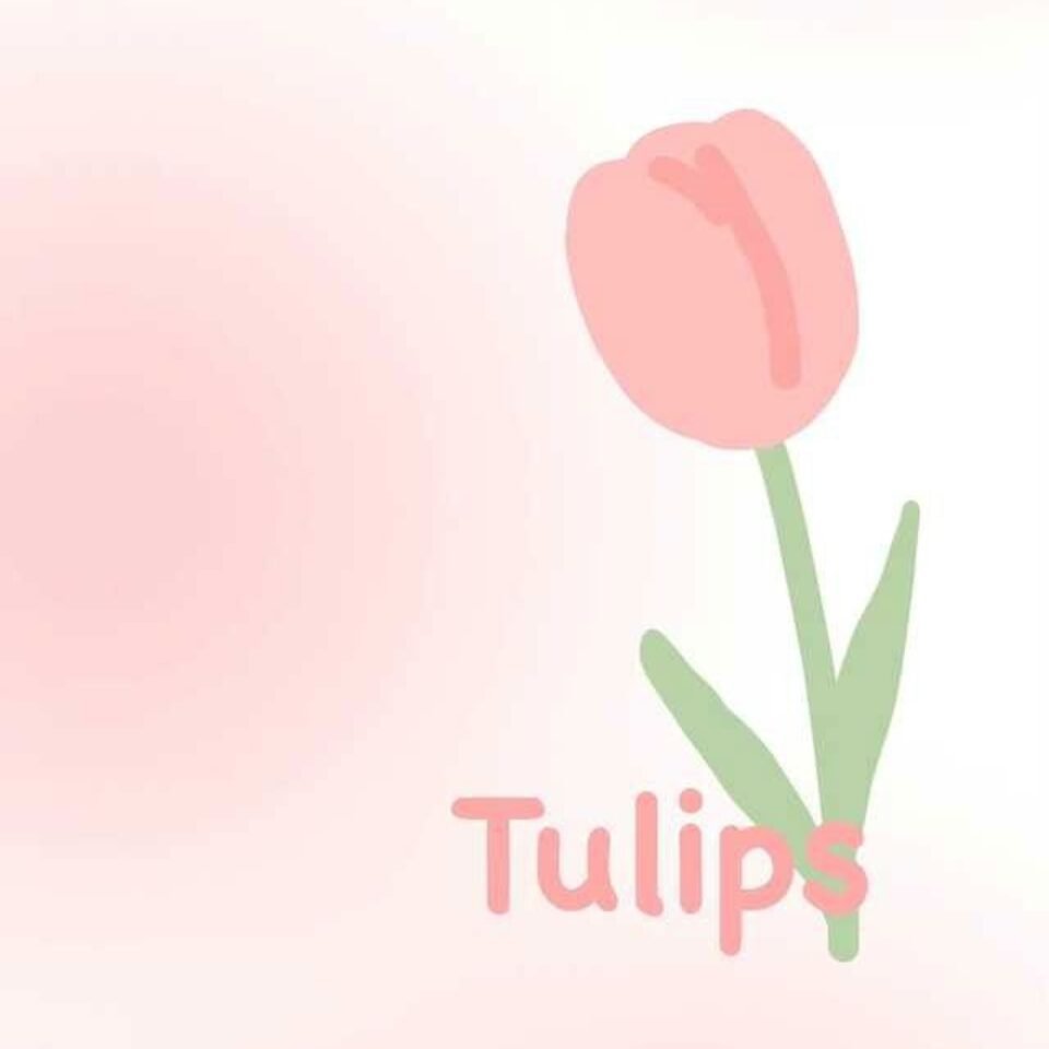 Ảnh nền hoa tulip chill đơn sắc và tinh tế