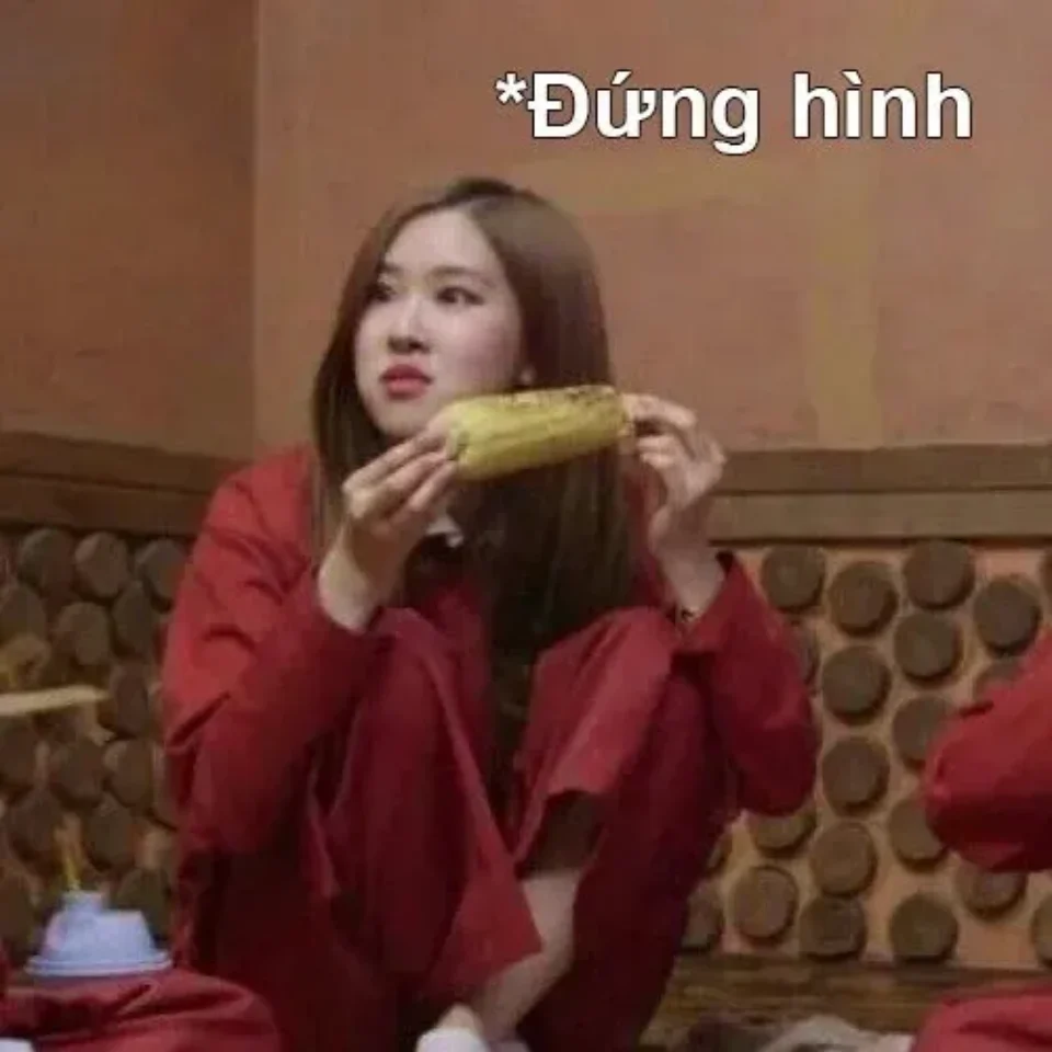 Ảnh Lisa Meme làm mặt nghiêm túc, trông rất hài hước