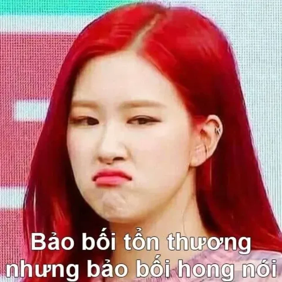 Ảnh Lisa Meme gương mặt "phớt lờ" khi không muốn nghe nữa