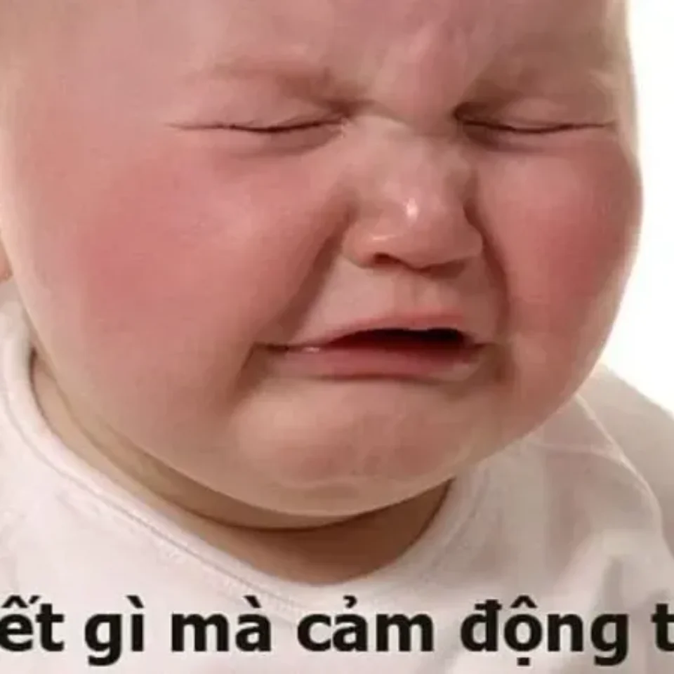 Meme Ảnh Troll hài về tình yêu