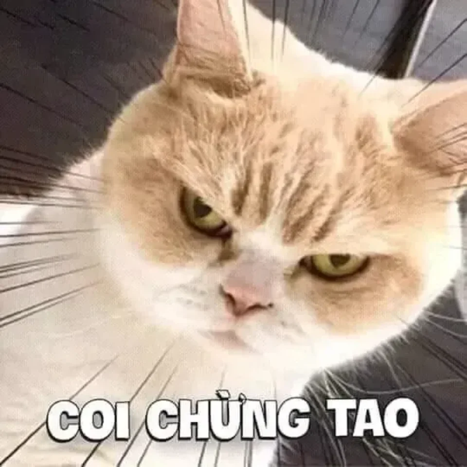 Meme cay cú khi bị chế giễu vì lỗi nhỏ