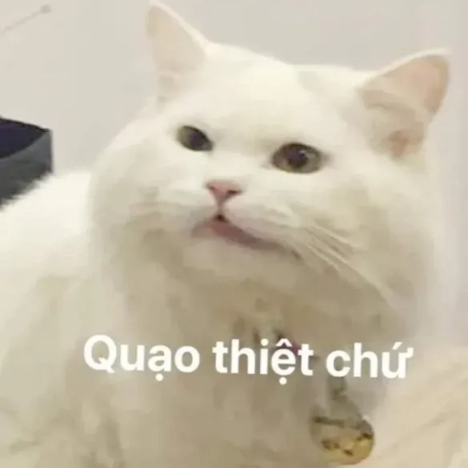 Meme cay cú khi thấy bạn bè thành công