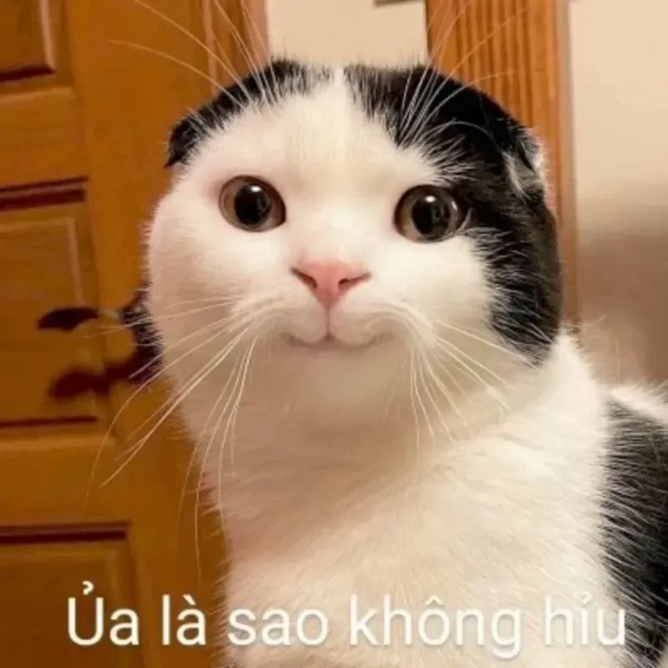 Meme hề buồn cười nhất trên mạng