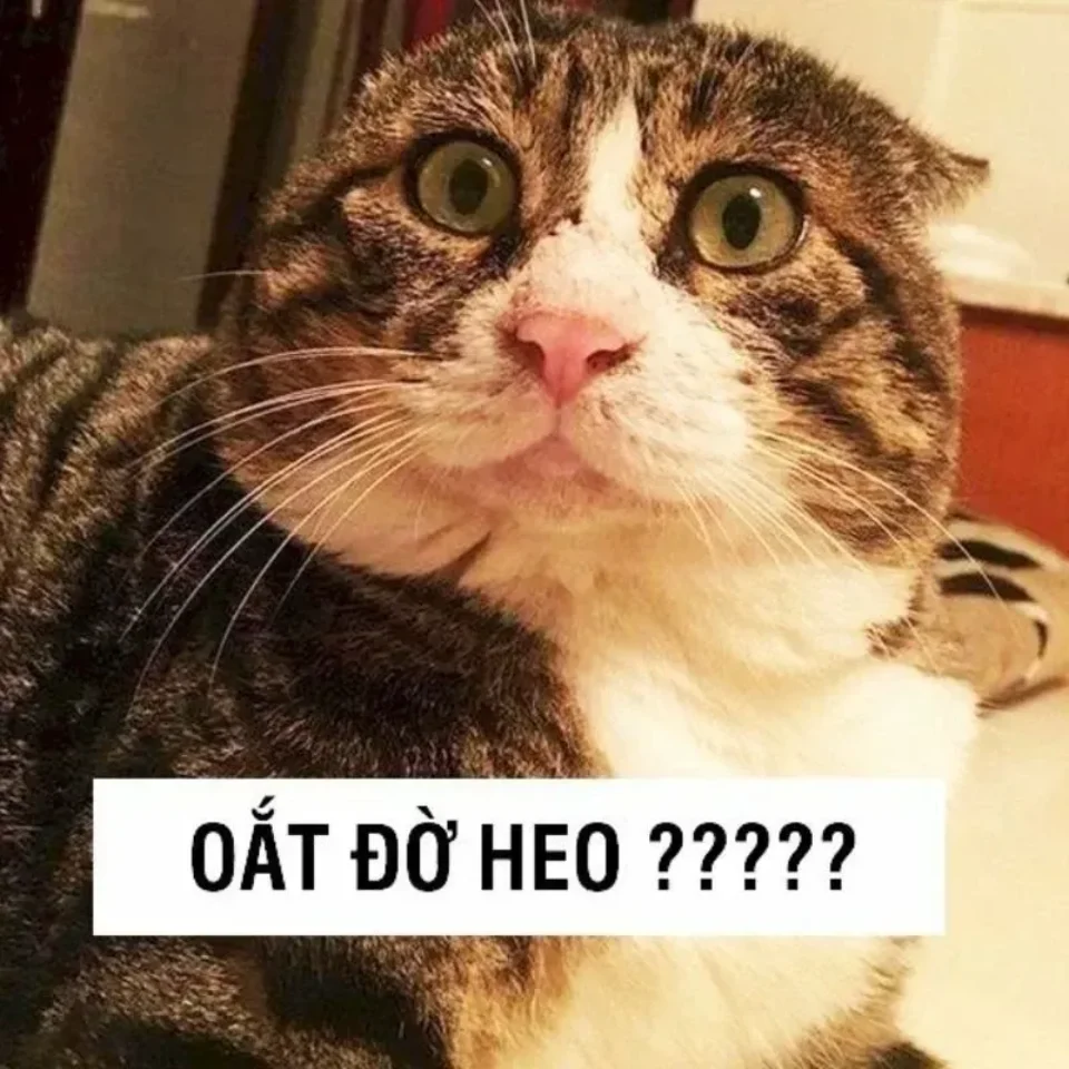 Meme hề châm biếm hài hước