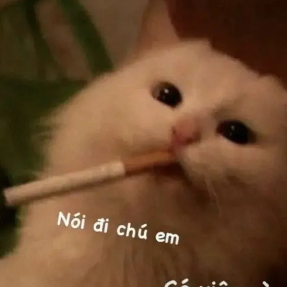 Ảnh meme nhắn tin vui nhộn khiến cuộc trò chuyện thú vị hơn