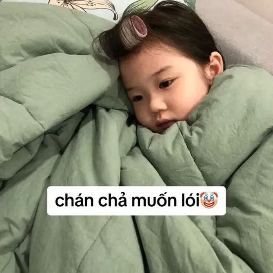 Meme tin nhắn vui nhộn và độc đáo dành cho giới trẻ 2024