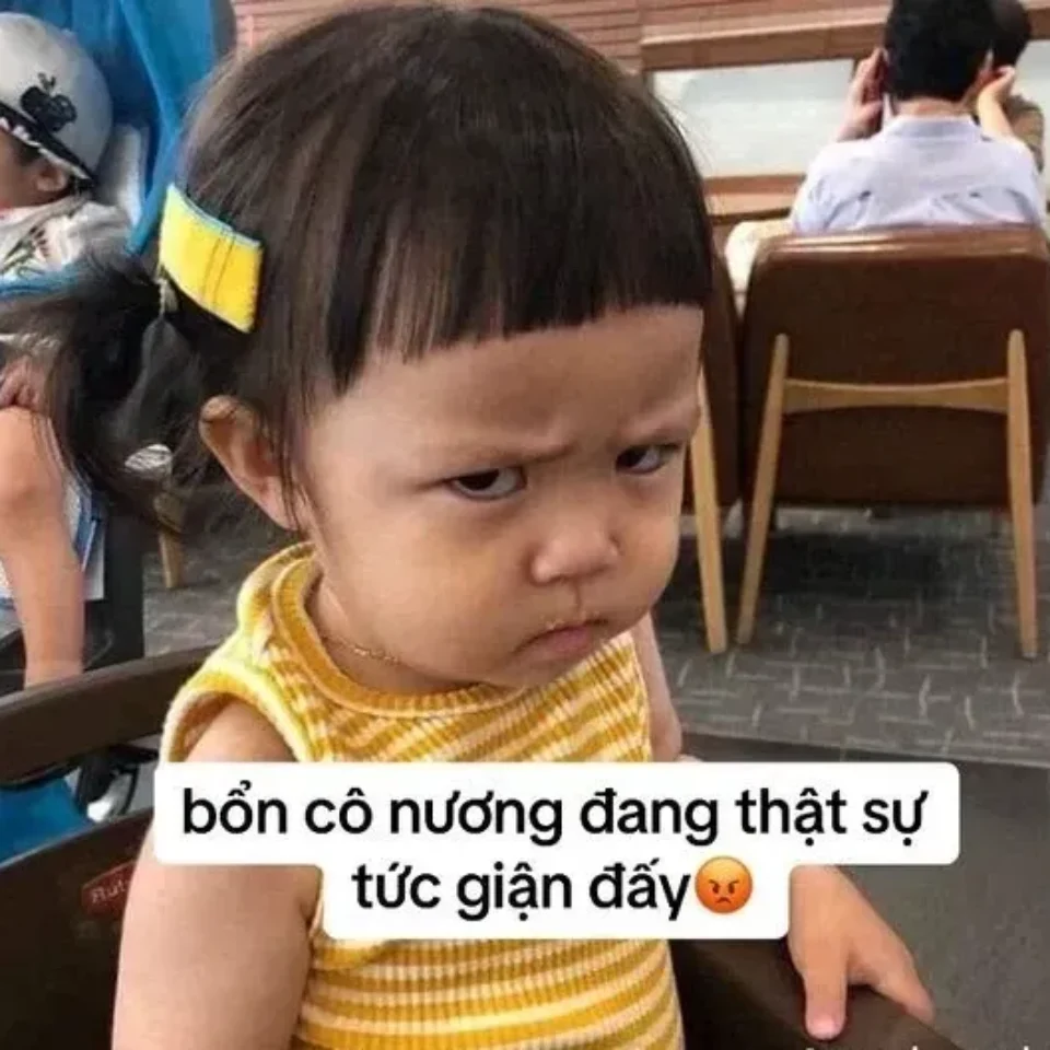 Ảnh meme nhắn tin vui nhộn dành cho mọi tình huống nhắn tin