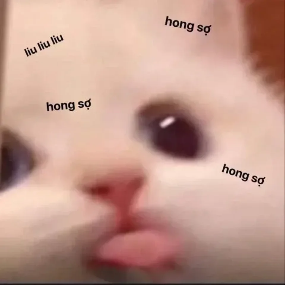 Meme nhắn tin hài hước và vui nhộn giúp tạo không khí