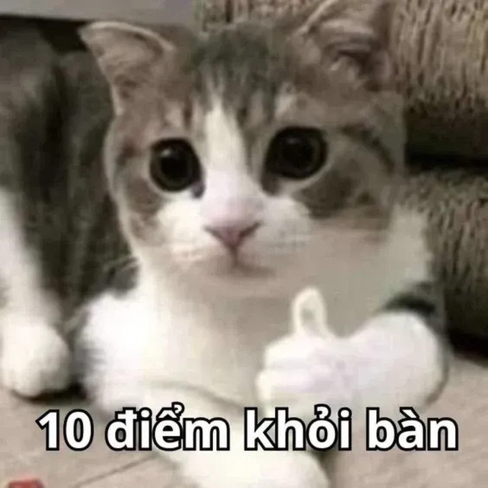 Meme nhắn tin hài hước về những tình huống đời thường