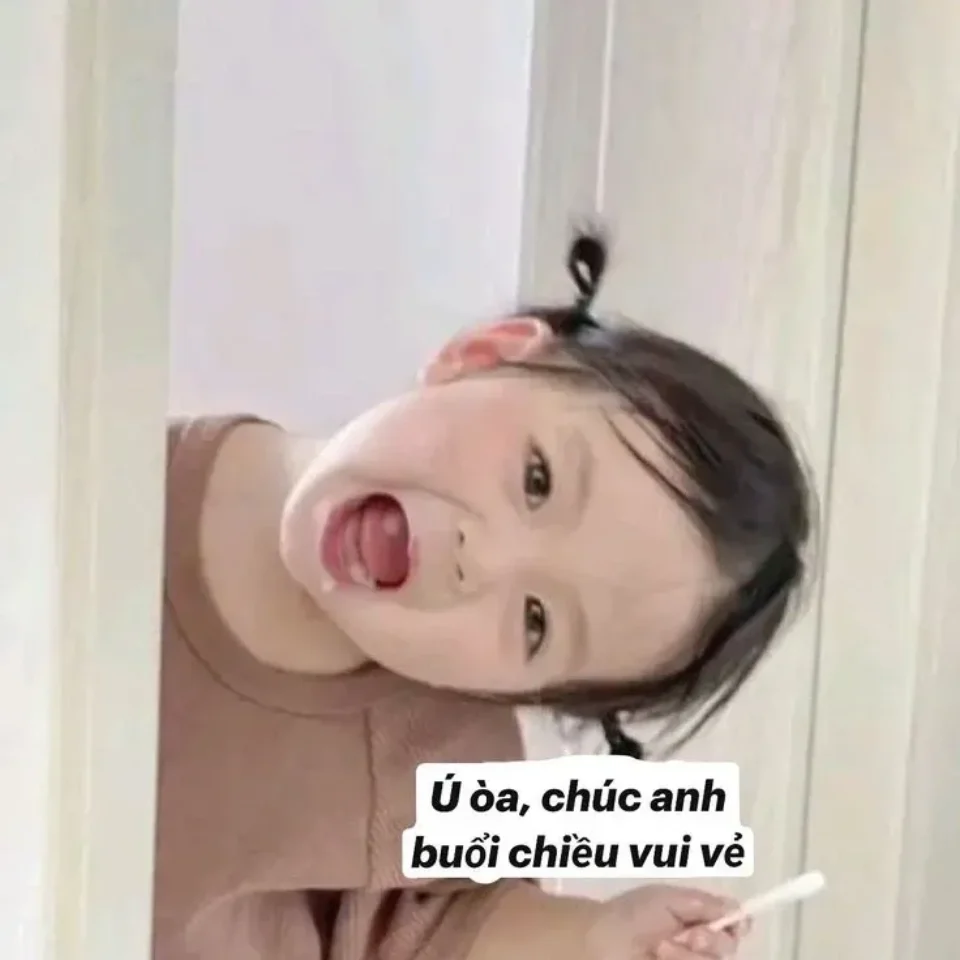 Tuyển chọn meme nhắn tin hài hước độc đáo nhất 2024