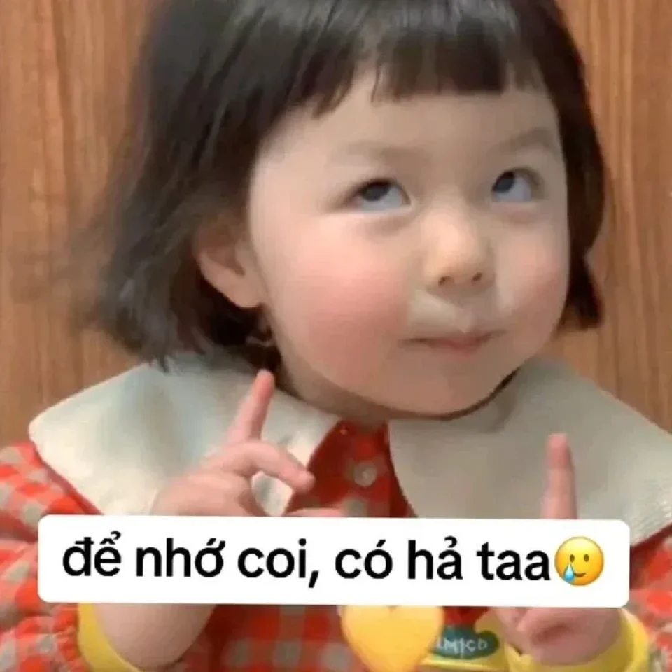 Meme nhắn tin vui nhộn để chia sẻ với bạn bè 2024