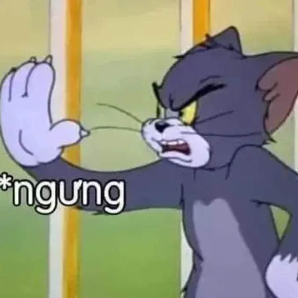 Meme nhắn tin hài hước 2024 cho những cuộc trò chuyện vui nhộn