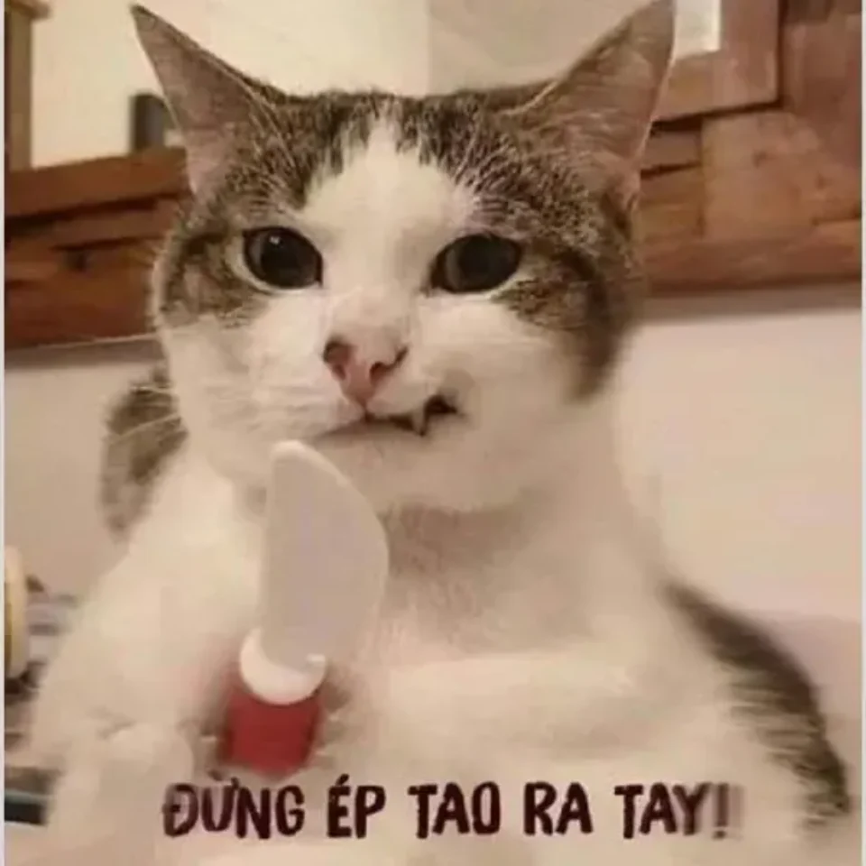 Meme nổi tiếng mang lại tiếng cười cho mọi người