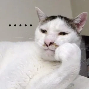 +533 Ảnh Meme Tủi Thân: Hài Hước và Đồng Cảm Đầy Cảm Xúc