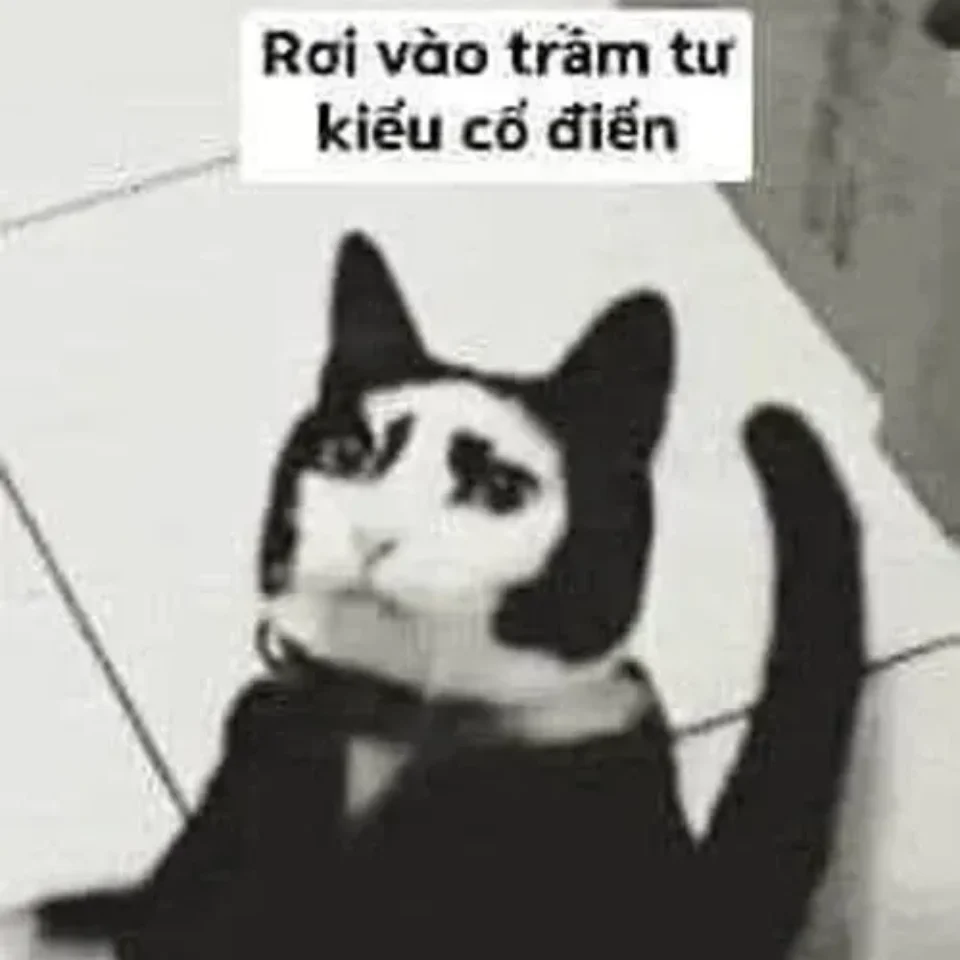 Meme tủi thân khi không ai giúp đỡ