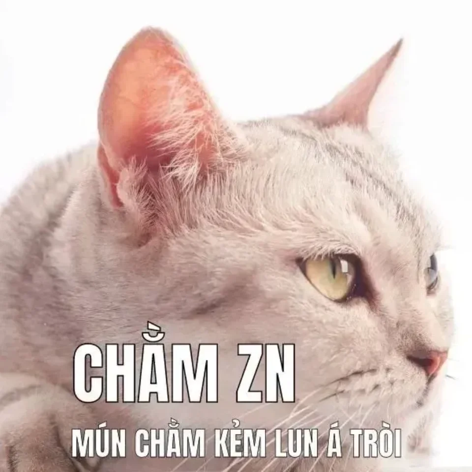 Meme tủi thân khi bị bỏ lại phía sau