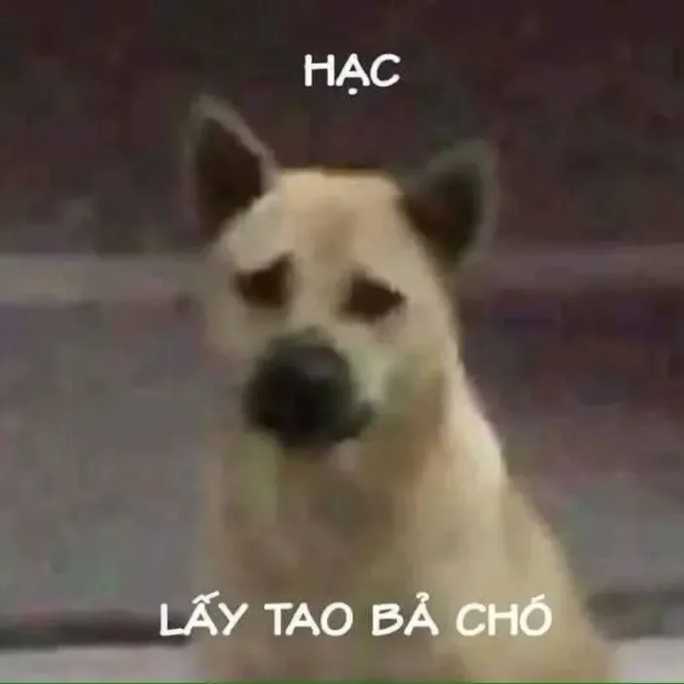 Meme tủi thân vì cảm thấy bị lãng quên