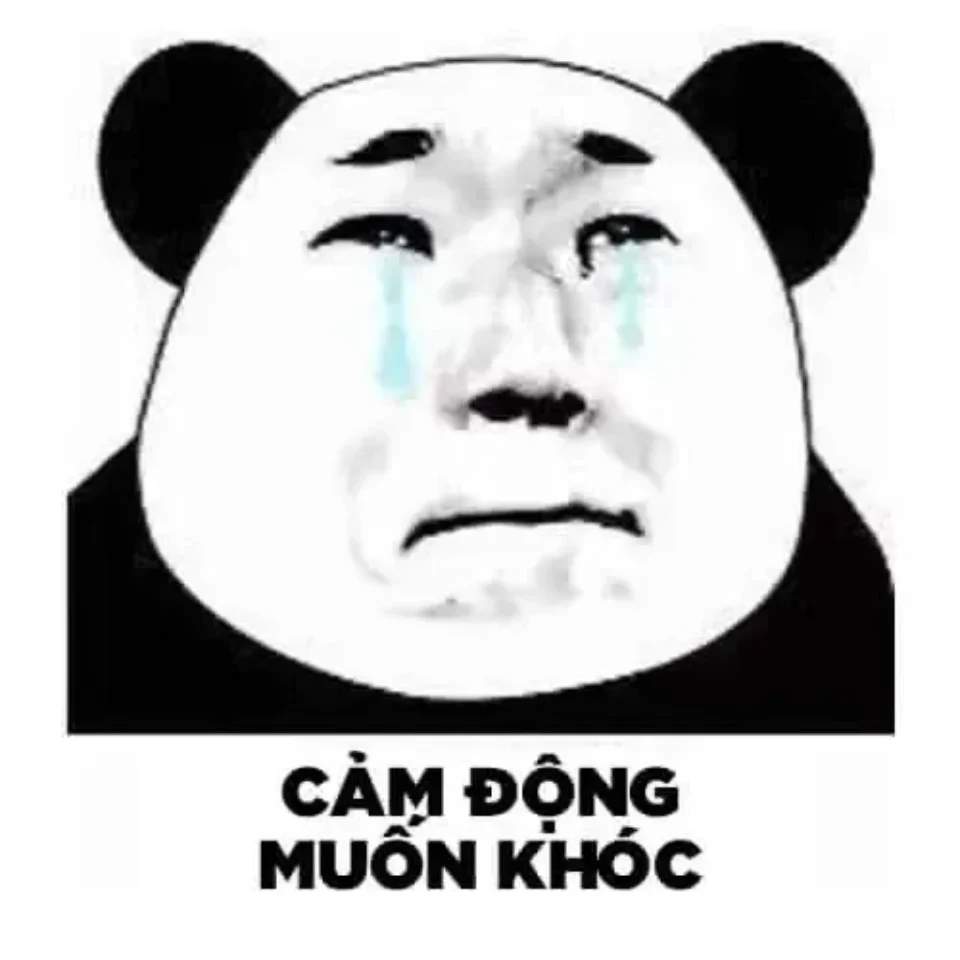 Ảnh meme xúc động về những kỷ niệm khó quên