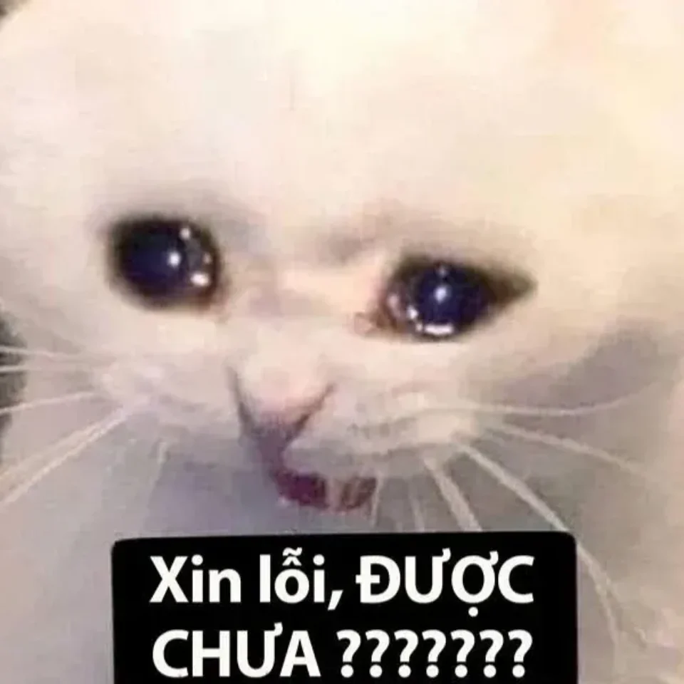 Ảnh meme tình cảm, chạm đến trái tim người xem