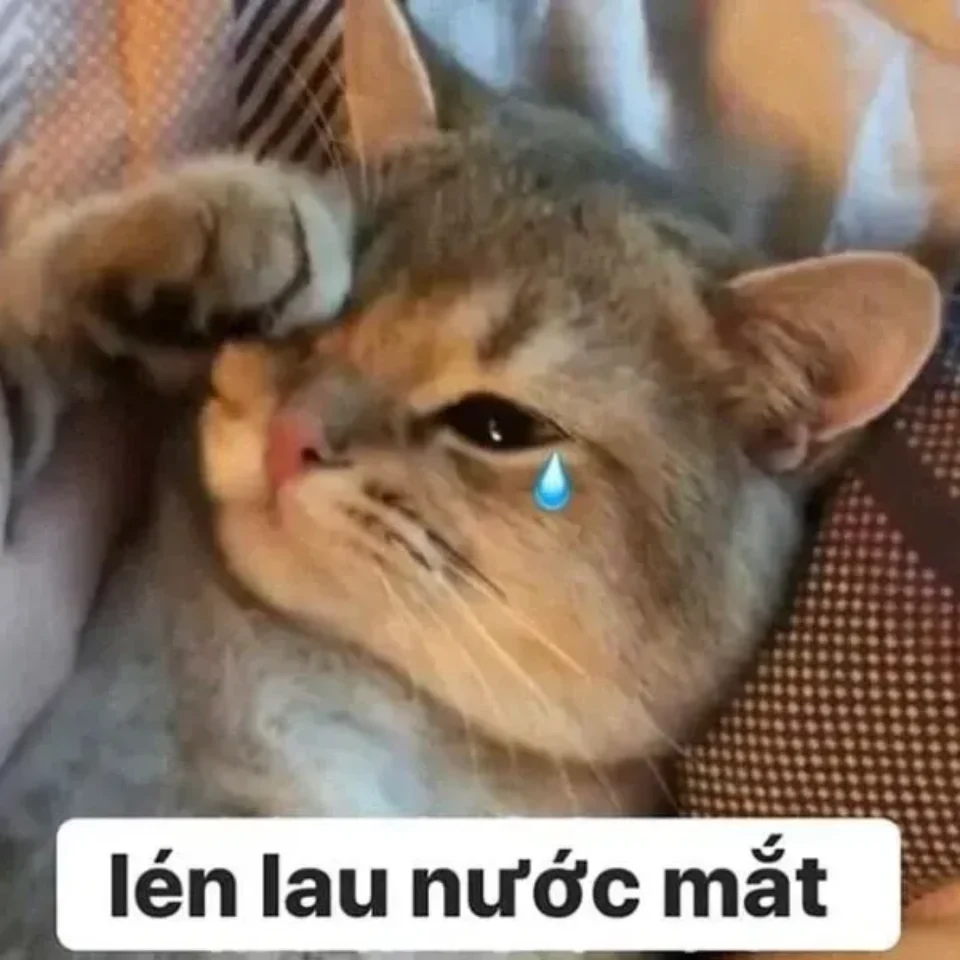 Meme cảm động khiến người xem phải suy ngẫm