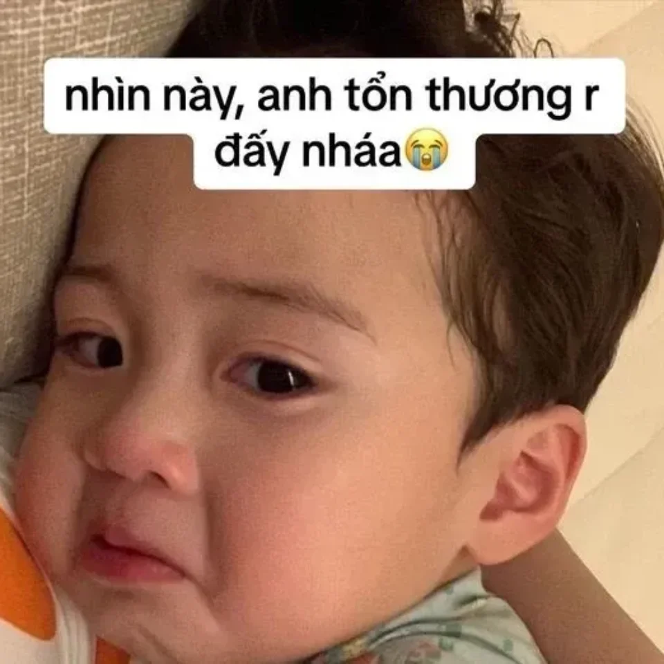 Meme về tình cha con, xúc động và sâu lắng